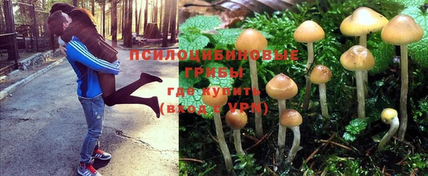 дмт Вяземский