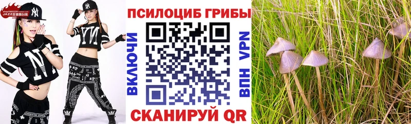 Псилоцибиновые грибы GOLDEN TEACHER  Донецк 